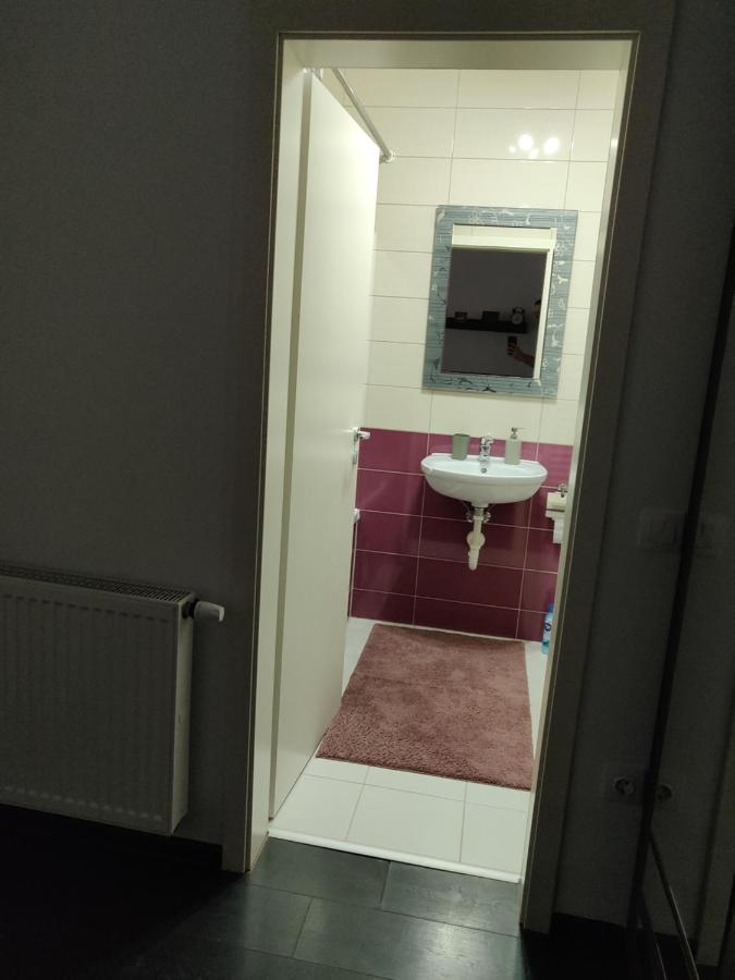 Avangarden Apartment Brasov Luaran gambar